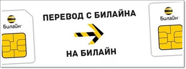 Как перевести деньги с билайна на билайн